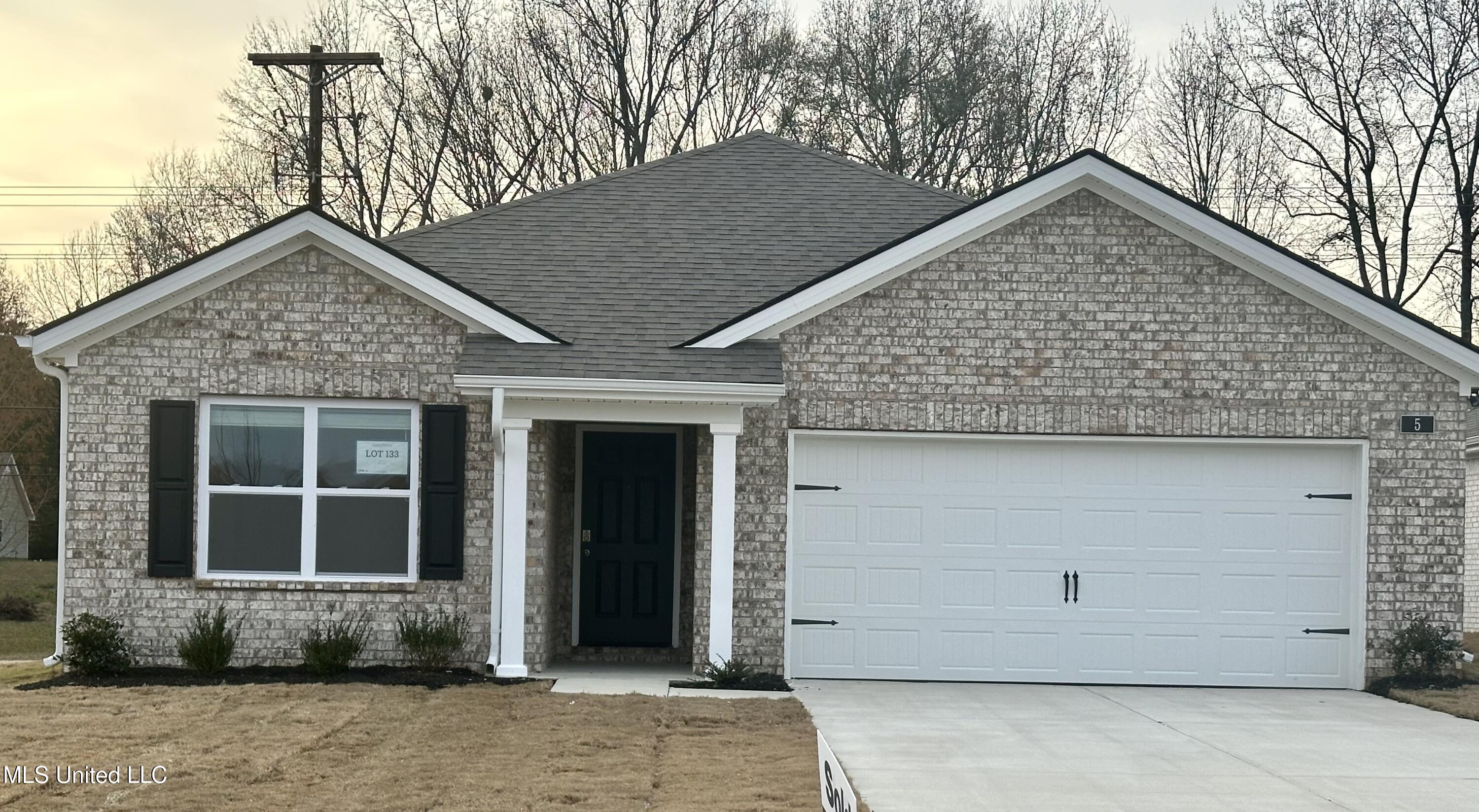 9 Thorn Tree Street Byhalia, MS 38611 - Photo 1 of 20 Aria F