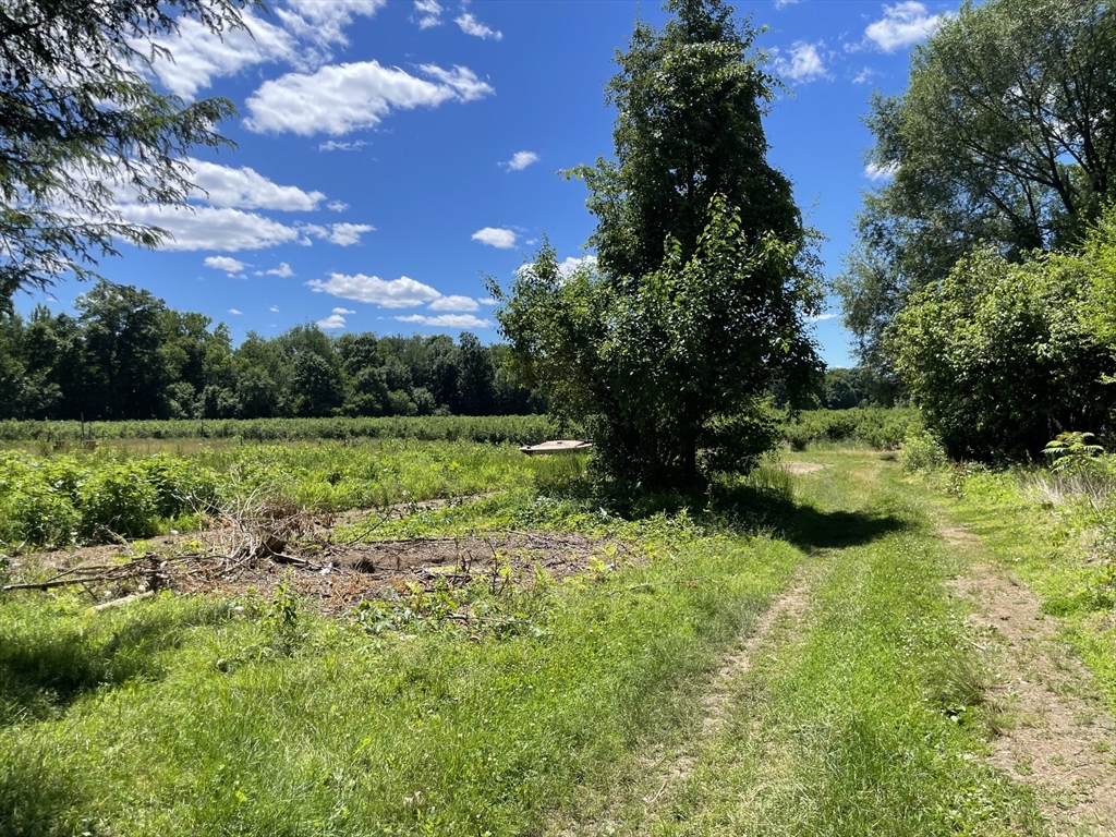 239 River Road South Whately, MA 01373 - Photo 34 of 35