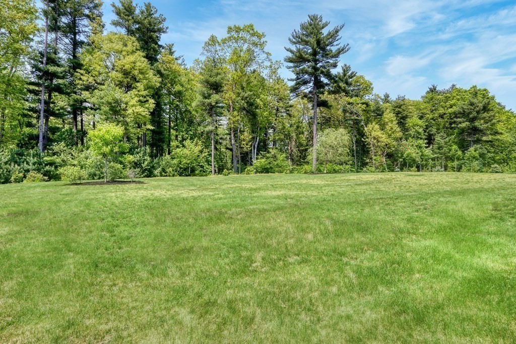 55 Balancing Rock Road Canton, MA 02021 - Photo 38 of 39 Gallery Image 38