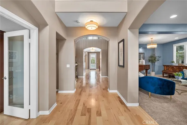 a living room with furniture potted plant and a wooden floor