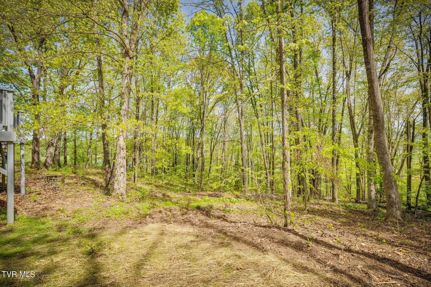 405 Ridgecrest Road Jonesborough, TN 37659 - Photo 34 of 35 034
