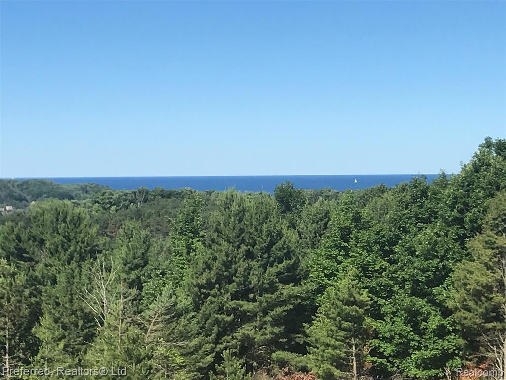 1693 Elm Road Road Frankfort, MI 49635 - Photo 52 of 58