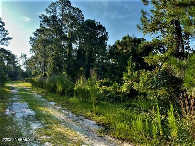 416 Whispering Pines Road Georgetown, FL 32139 - Photo 1 of 13 IMG_4415
