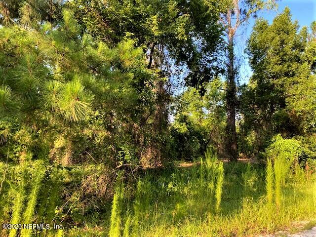 416 Whispering Pines Road Georgetown, FL 32139 - Photo 2 of 13 4161