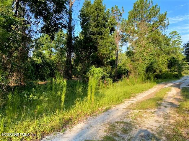 416 Whispering Pines Road Georgetown, FL 32139 - Photo 3 of 13 IMG_4412