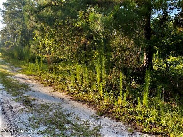 416 Whispering Pines Road Georgetown, FL 32139 - Photo 4 of 13 IMG_4413