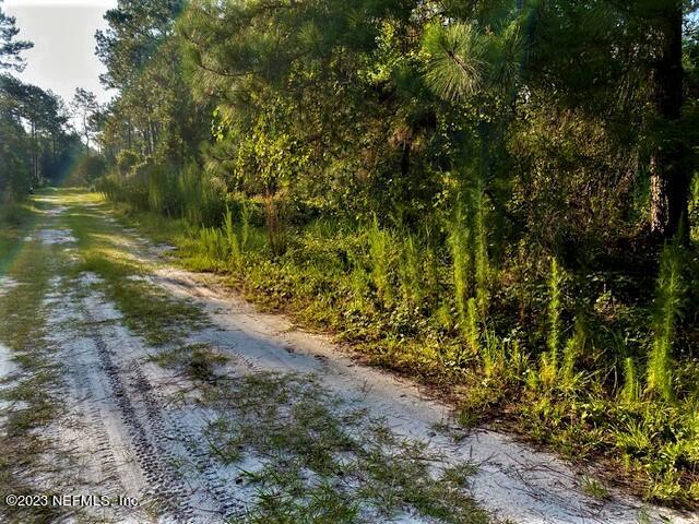 416 Whispering Pines Road Georgetown, FL 32139 - Photo 5 of 13 IMG_4414