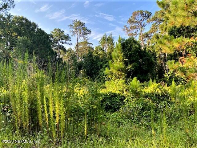 416 Whispering Pines Road Georgetown, FL 32139 - Photo 6 of 13 IMG_4416