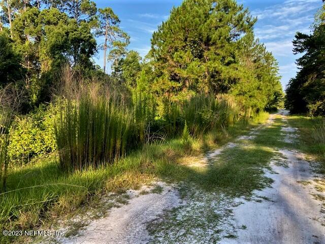 416 Whispering Pines Road Georgetown, FL 32139 - Photo 7 of 13 IMG_4417