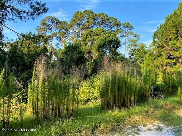 416 Whispering Pines Road Georgetown, FL 32139 - Photo 8 of 13 IMG_4418