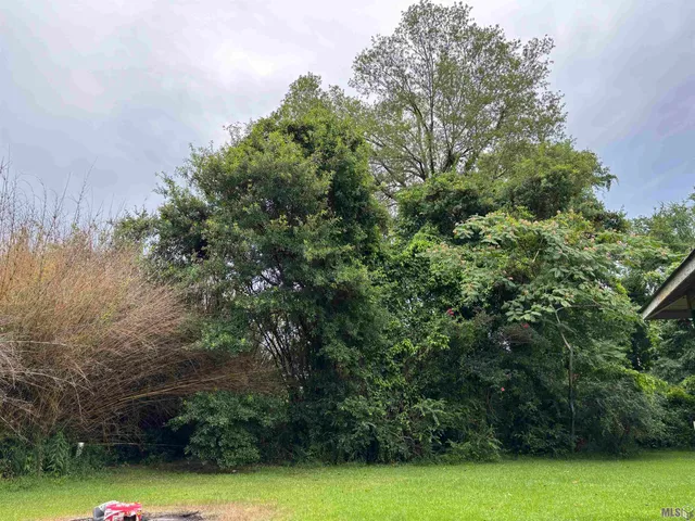 $170,000 | 13587 Burgess Avenue, Walker, LA 70785