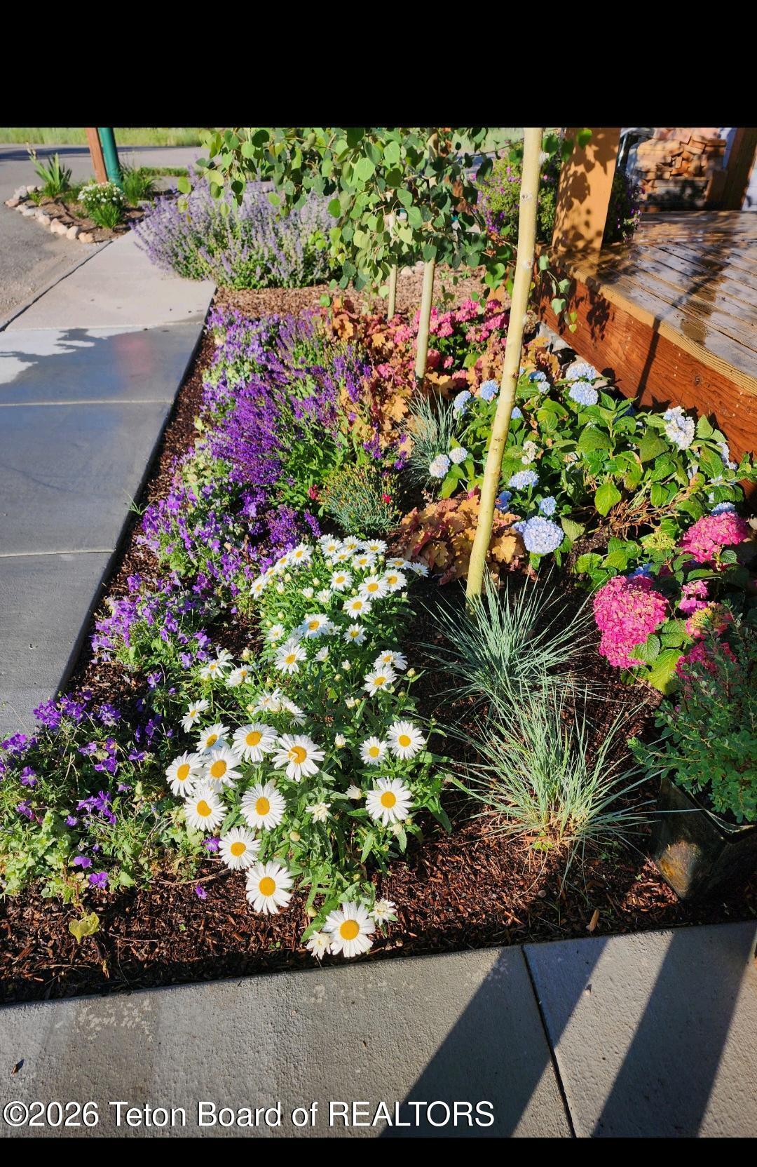 9076 Red Mountain Way Victor, ID 83455 - Photo 3 of 30 image