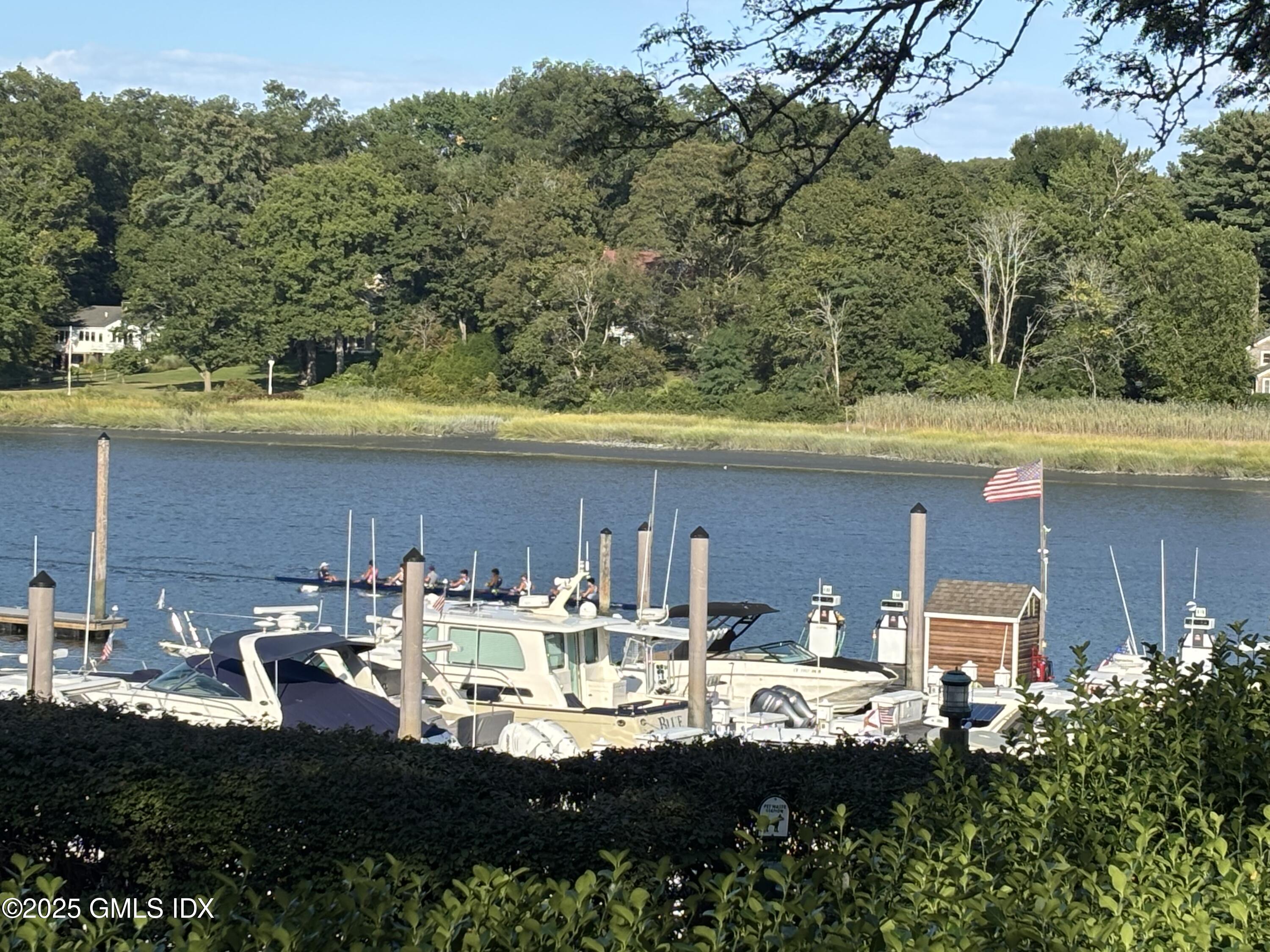 a view of swimming pool with outdoor seating and plants