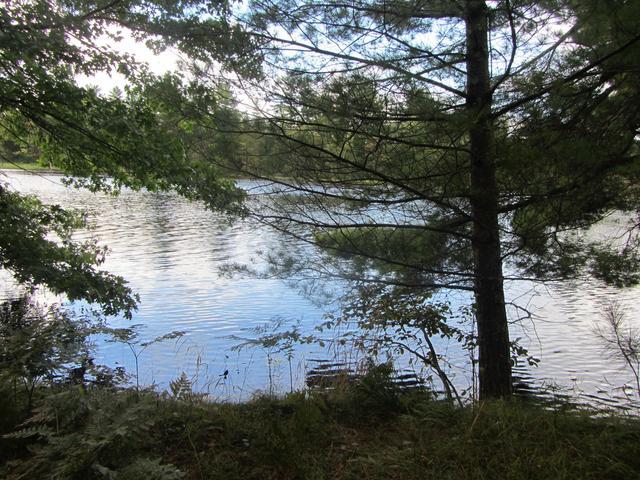 On On Eagles Ridge Eagle River, WI 54521 - Photo 1 of 12 Gallery Image 1
