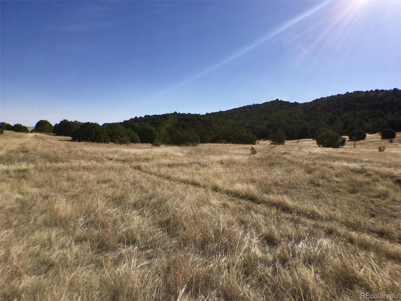 81 Silver Spur Road Walsenburg, CO 81089 - Photo 11 of 19 Gallery Image 11