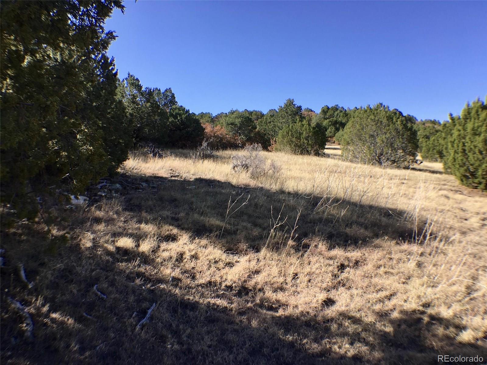 81 Silver Spur Road Walsenburg, CO 81089 - Photo 13 of 19 Gallery Image 13