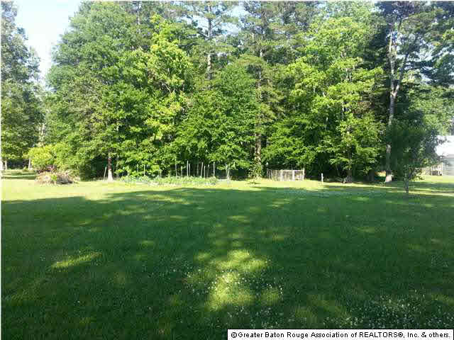 32386 Briarwood Road Walker, LA 70785 - Photo 6 of 23 Gallery Image 6