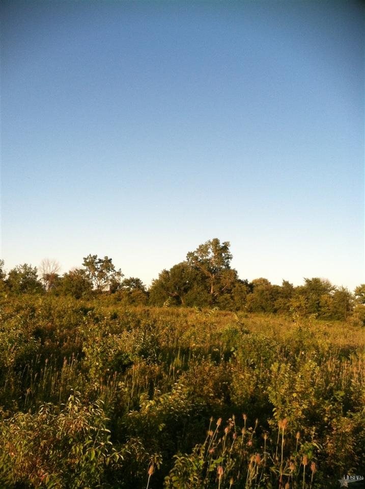 10962 Tonkel Road Fort Wayne, IN 46845 - Photo 1 of 1
