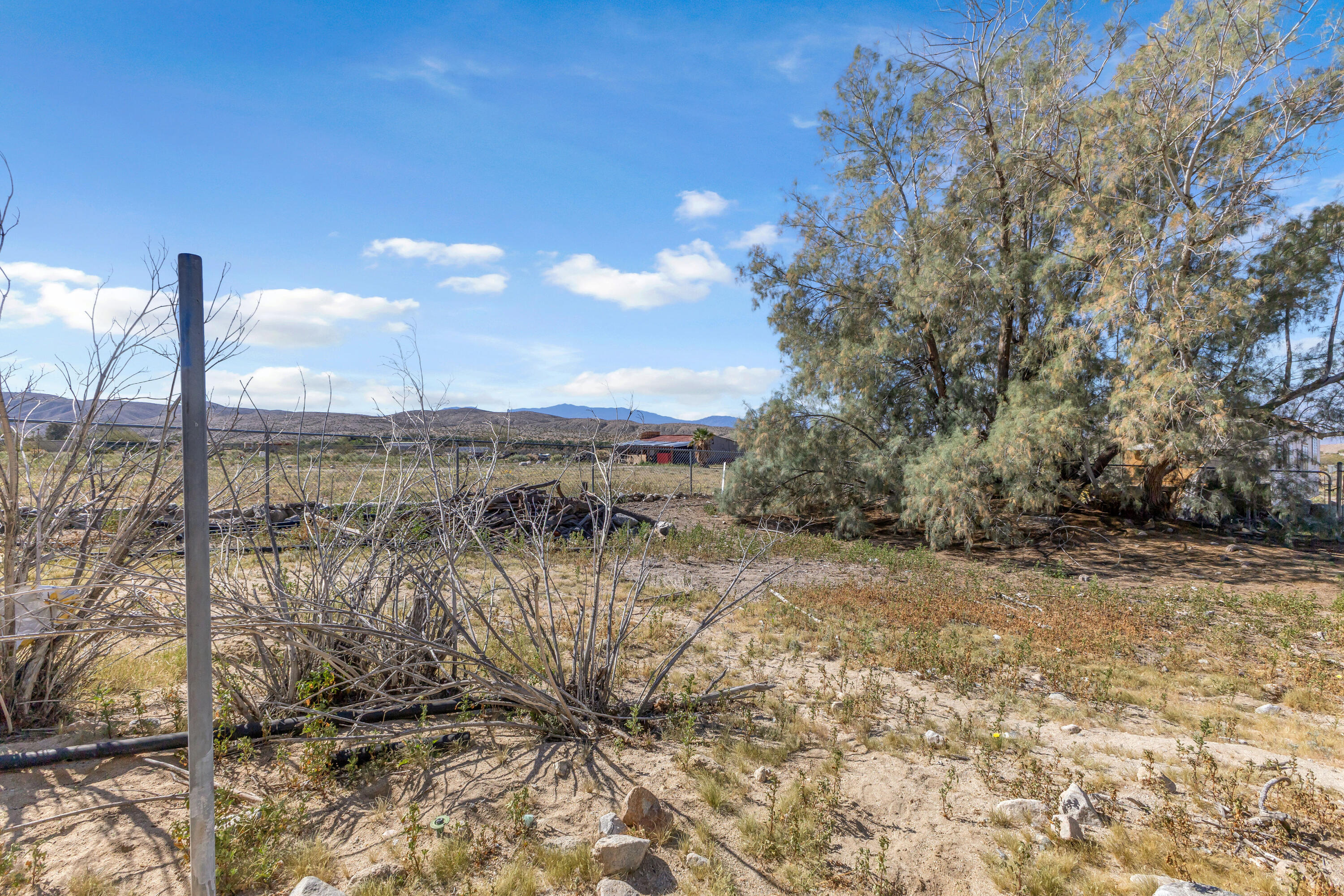 81975 Dillon Road Desert Hot Springs, CA 92241 - Photo 42 of 51 a view of a lake with a tree in the background