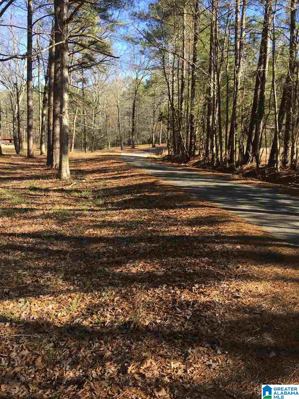 7465 Rodgers Road Southwest Leeds, AL 35094 - Photo 6 of 25