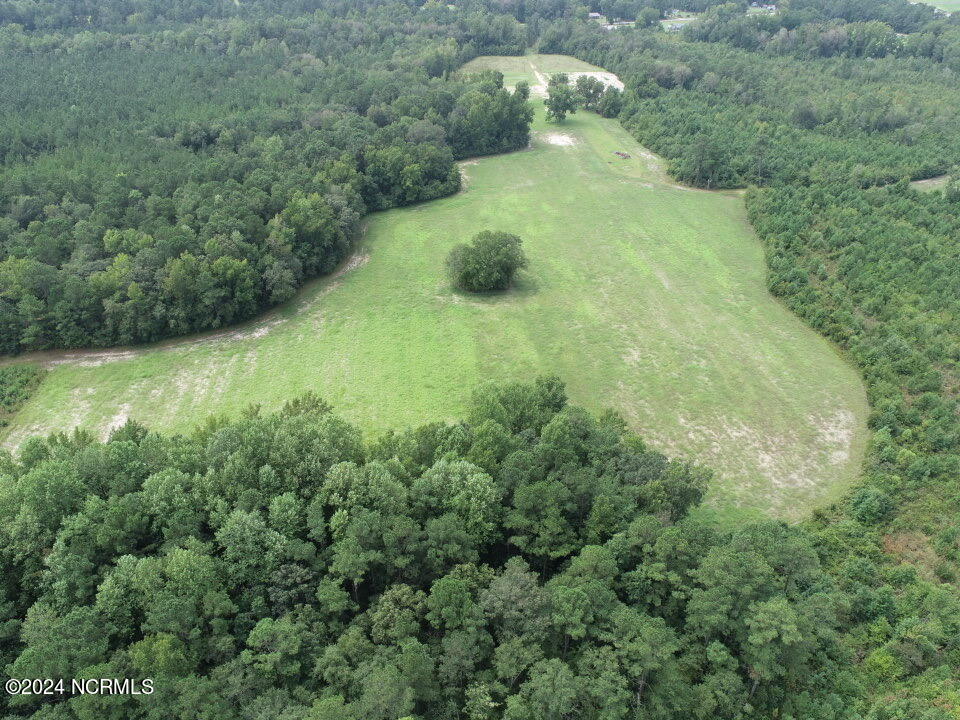 Tbd Tbd Pocosin Road Council, NC 28434 - Photo 25 of 25 Aerial view - facing south