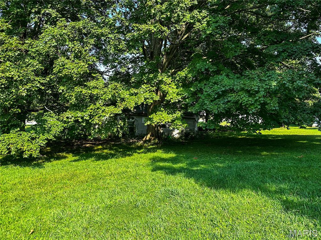 1310 Vandalia Road Hillsboro, IL 62049 - Photo 5 of 10