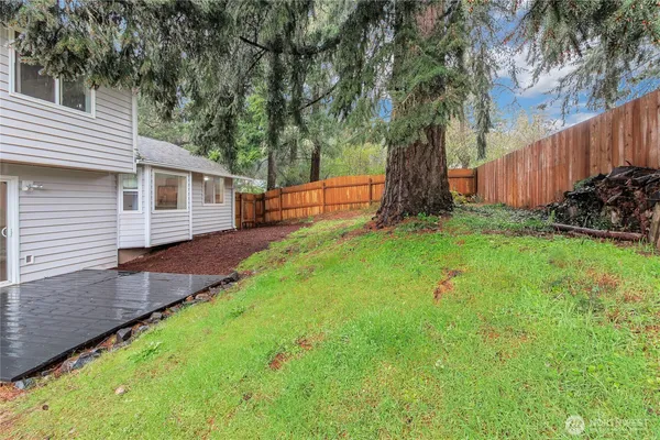 a view of a backyard with large trees and wooden fence