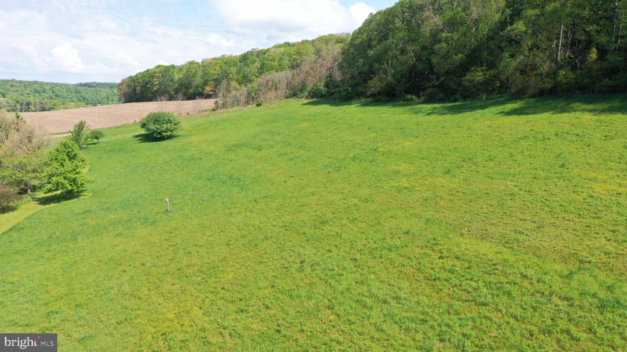 335 Charley Bowser Road Accident, MD 21520 - Photo 60 of 85 Lush green hillside under blue skies.