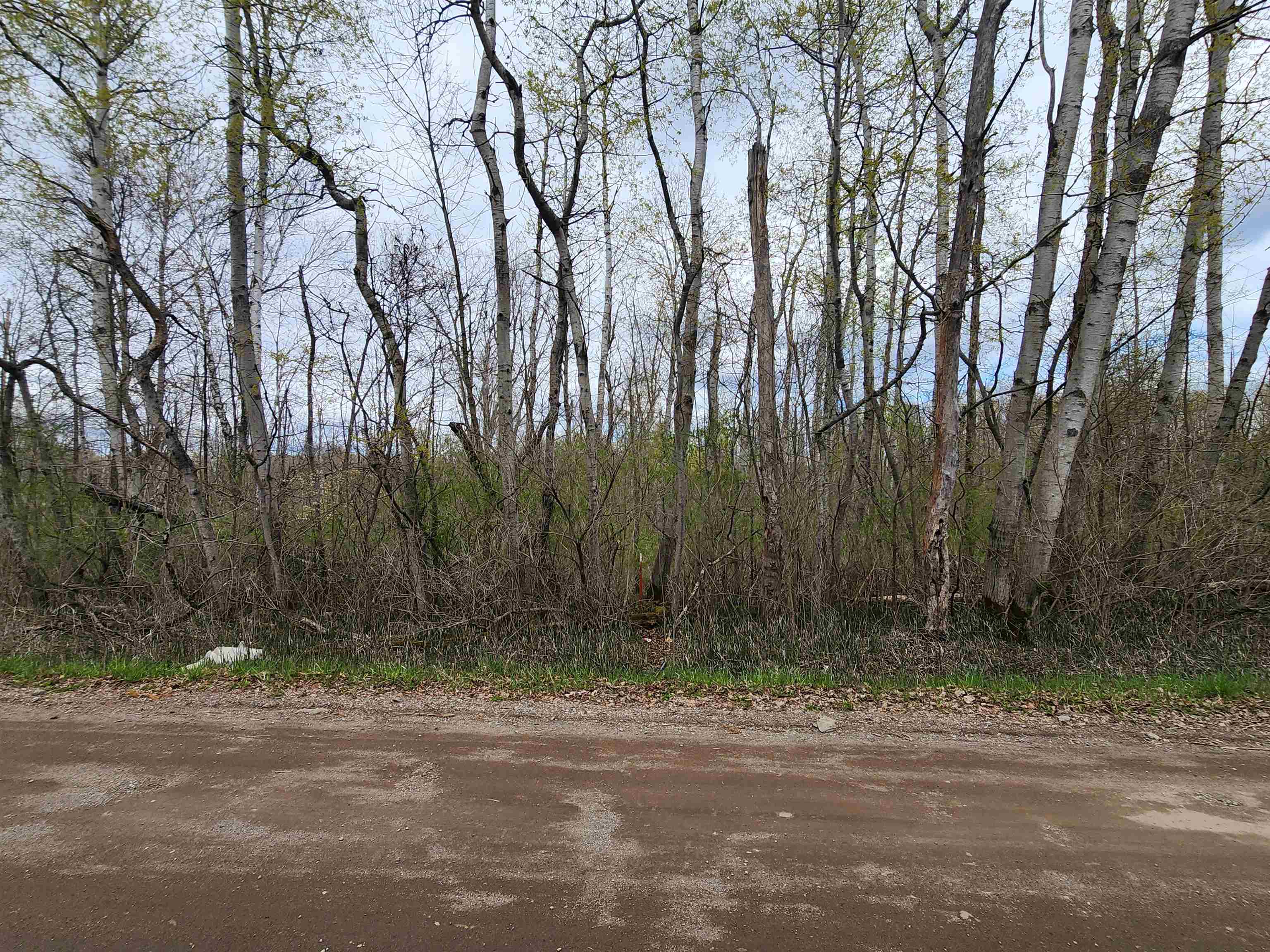 0 River Road Omer, MI 48749 - Photo 4 of 10