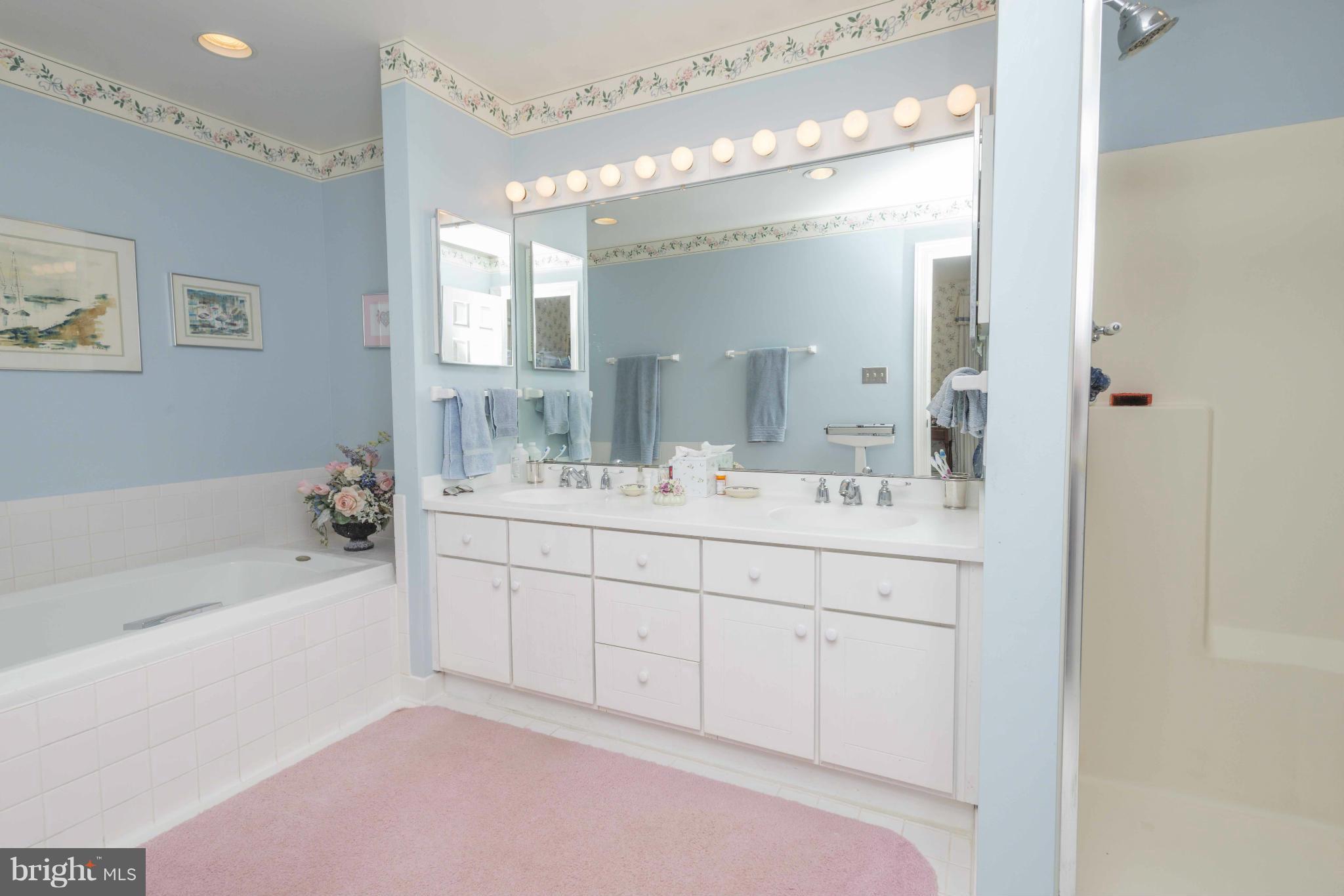 4 Charlesbrooke Road Baltimore, MD 21212 - Photo 17 of 28 Bath (Master)