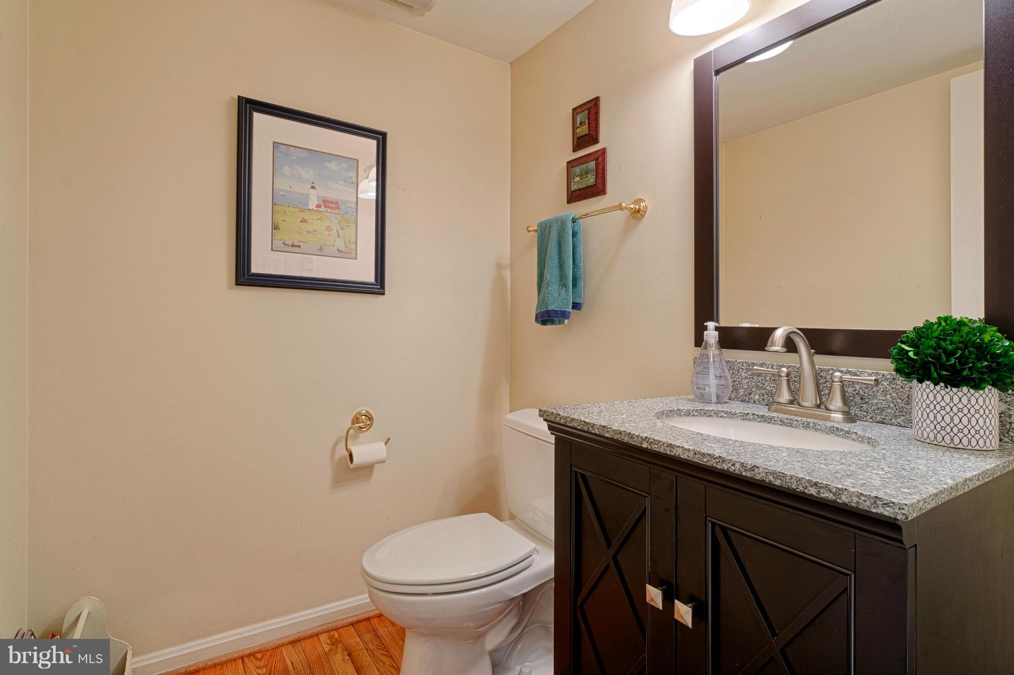 11008 Raccoon Ridge Court Reston, VA 20191 - Photo 20 of 30 a bathroom with a granite countertop sink and a toilet