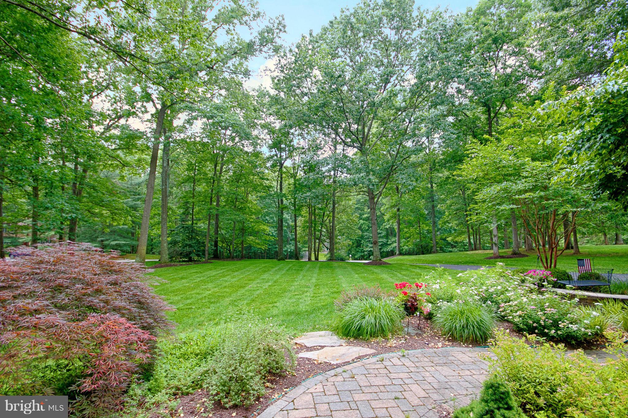 11008 Raccoon Ridge Court Reston, VA 20191 - Photo 3 of 30 a view of a garden with a tree