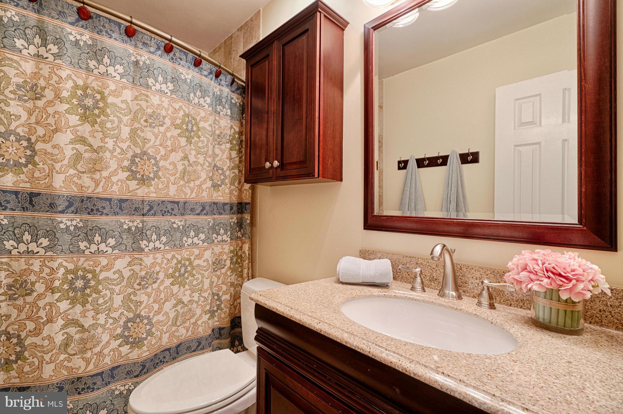 11008 Raccoon Ridge Court Reston, VA 20191 - Photo 27 of 30 a bathroom with a granite countertop toilet sink and mirror