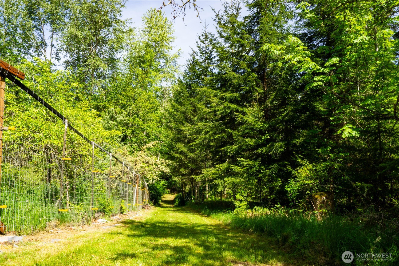 89 Slab Camp Road Sequim, WA 98382 - Photo 31 of 40 a view of yard with green space