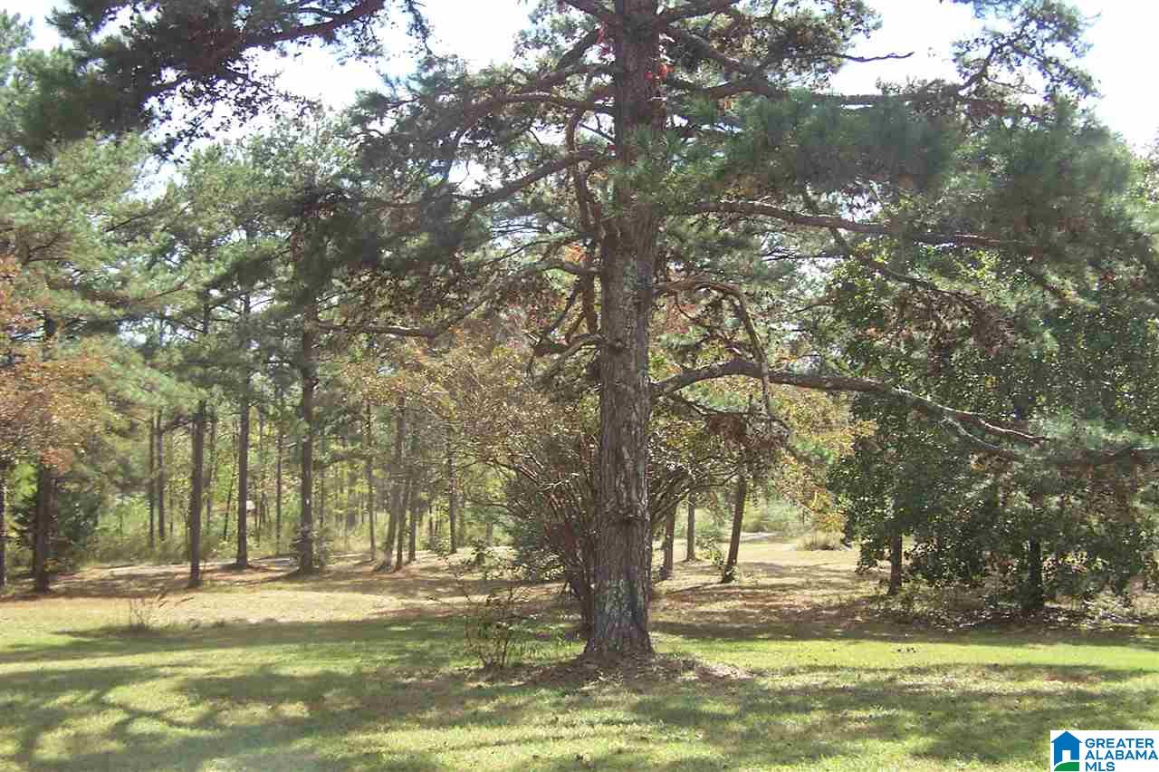 4907 County Road 45 Hayden, AL 35079 - Photo 4 of 28