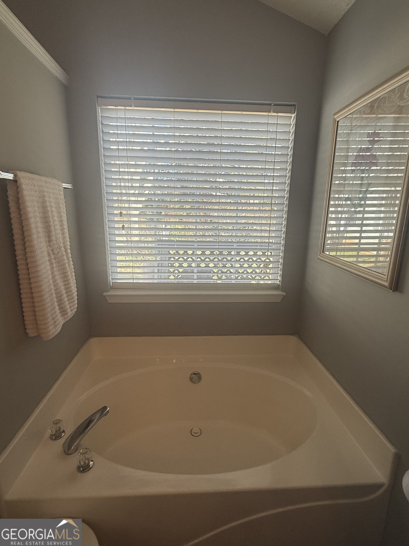 340 Harris Avenue Locust Grove, GA 30248 - Photo 11 of 24 a bathroom with bathtub next to a window