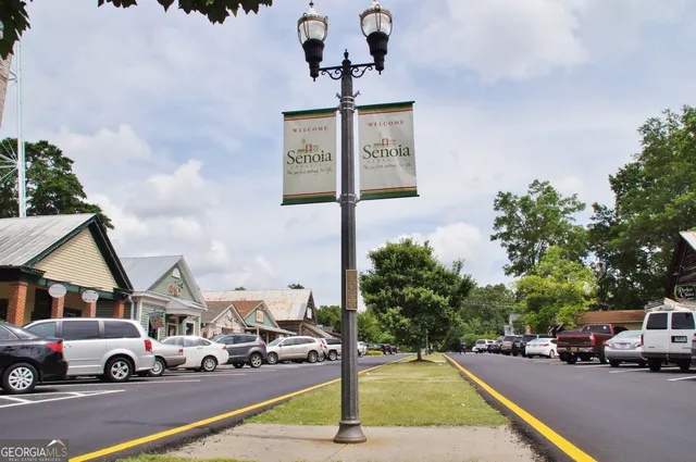 $649,900 | 84 Magnolia Pl Way, Senoia, GA 30276