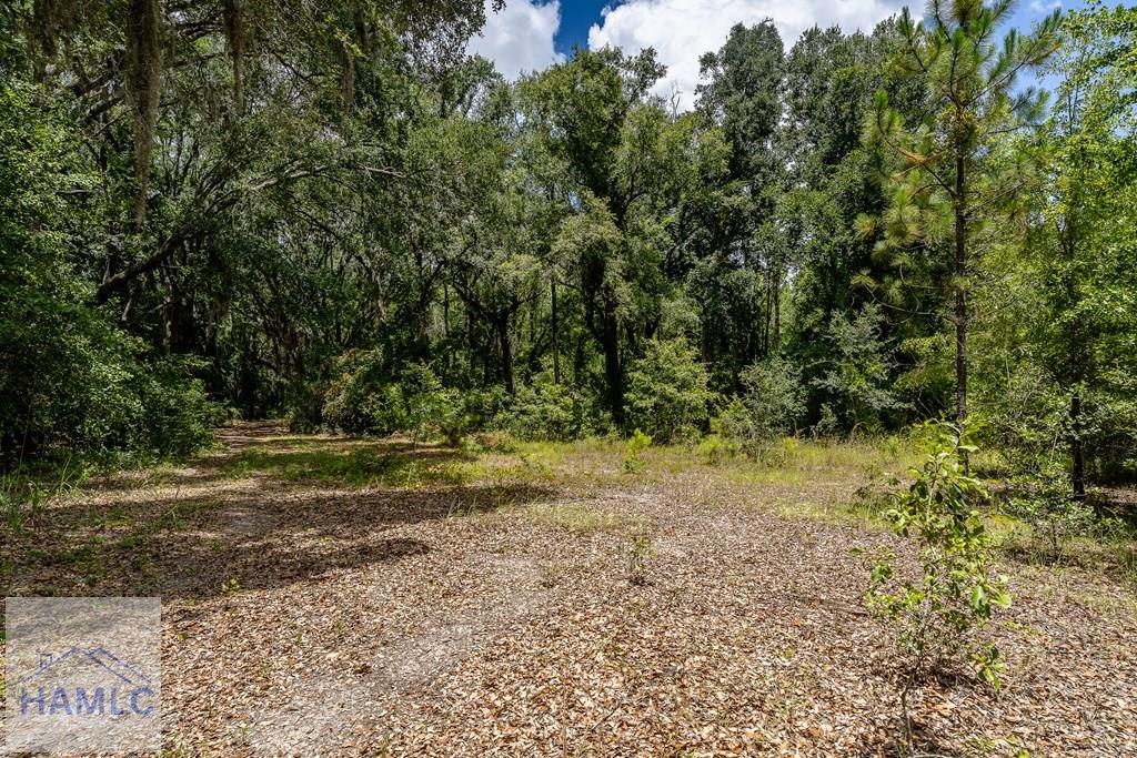 0 Nesbit Road Jesup, GA 31545 - Photo 32 of 35 Gallery Image 32