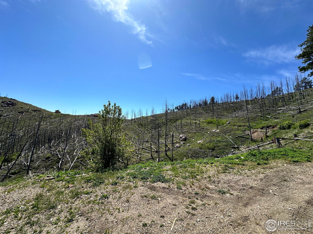 100 Quantum Court Bellvue, CO 80512 - Photo 4 of 26 a view of a dry yard with mountains in the background