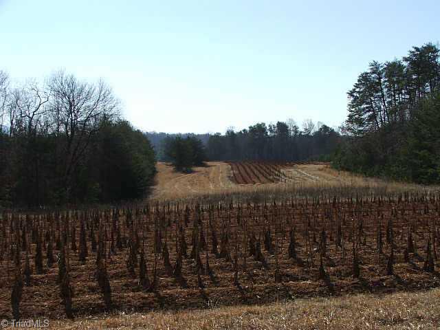 Tbd Simmons Road Pilot Mountain, NC 27041 - Photo 5 of 11 Other. CULTIVATED FIELDS