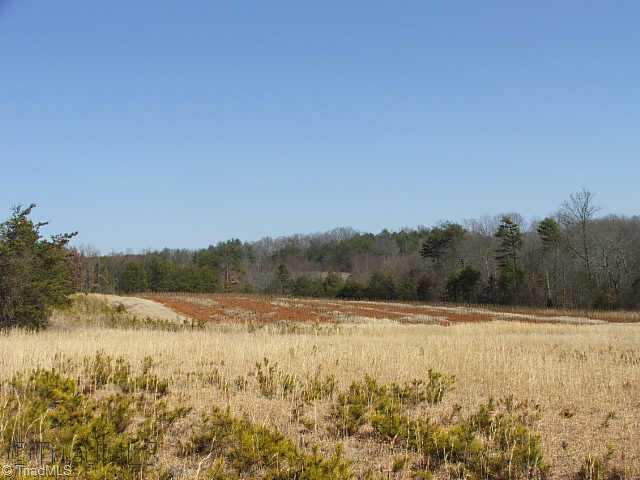 Tbd Simmons Road Pilot Mountain, NC 27041 - Photo 8 of 11 Other. GENTLY ROLLING LAND