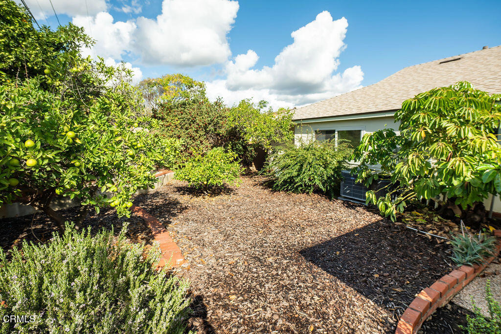 691 Springfield Avenue Ventura, CA 93004 - Photo 25 of 30 a view of a garden with plants