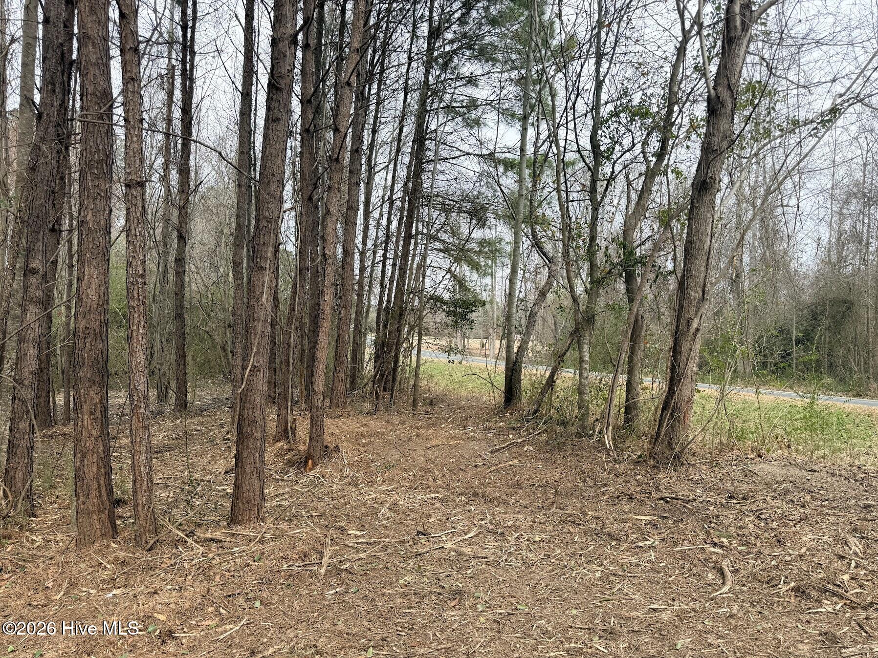 227 Langley Road Chocowinity, NC 27817 - Photo 7 of 16 Photo 10 02.25.2026