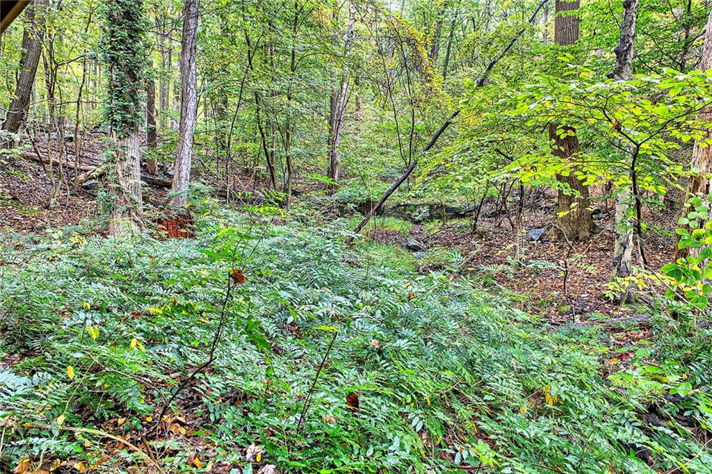 128 Raccoon Road, Unit ACME PA 15610 Acme, PA 15610 - Photo 19 of 23 a backyard of a house with lots of green space