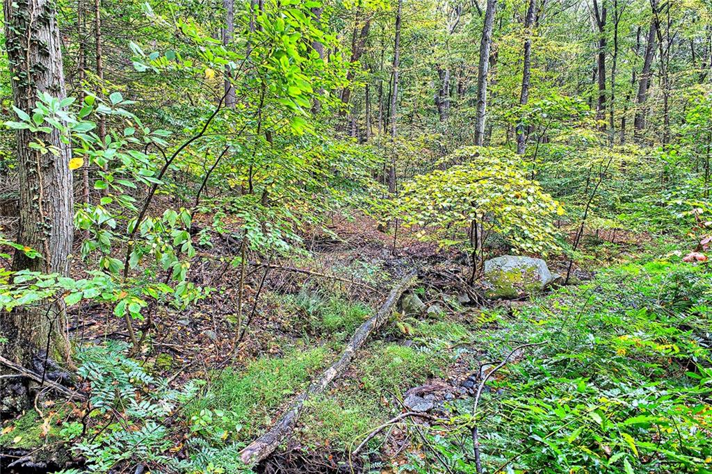 128 Raccoon Road, Unit ACME PA 15610 Acme, PA 15610 - Photo 20 of 23 a backyard of a house with lots of green space and a fountain