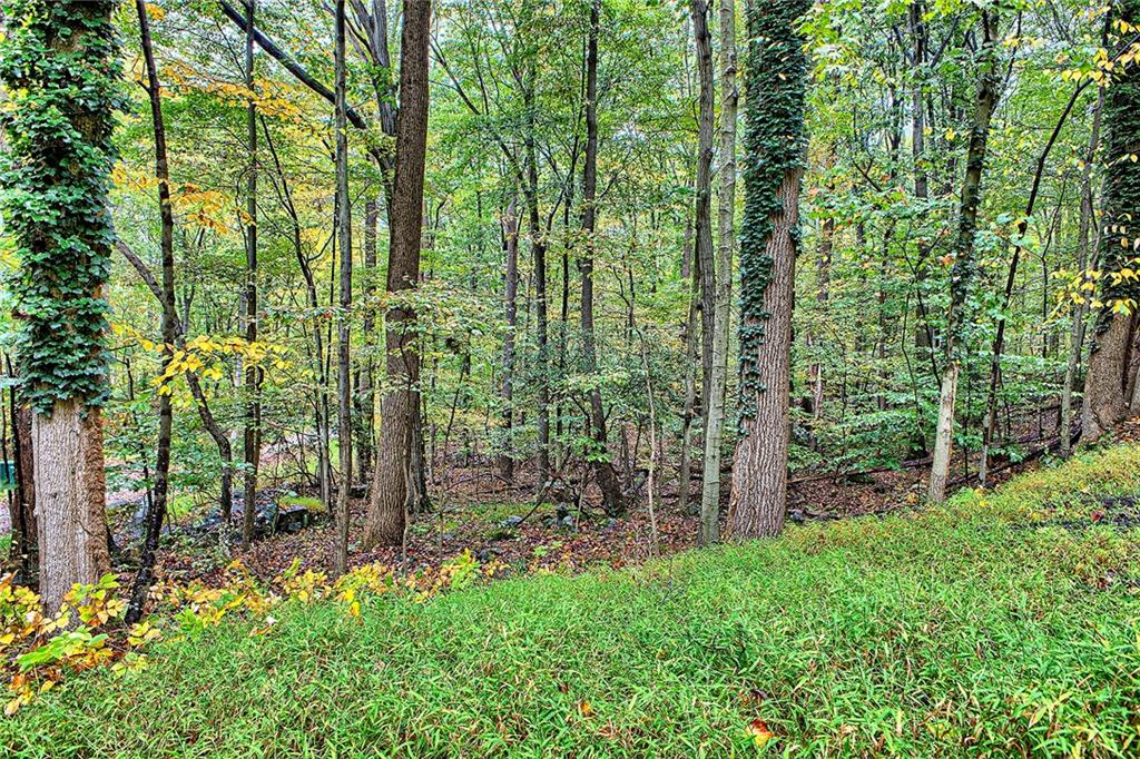 128 Raccoon Road, Unit ACME PA 15610 Acme, PA 15610 - Photo 21 of 23 a view of a garden with plants and large trees