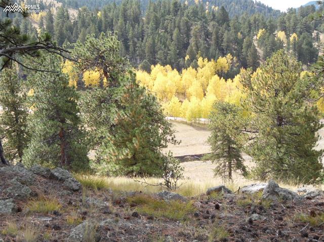50 A Road Guffey, CO 80820 - Photo 4 of 24