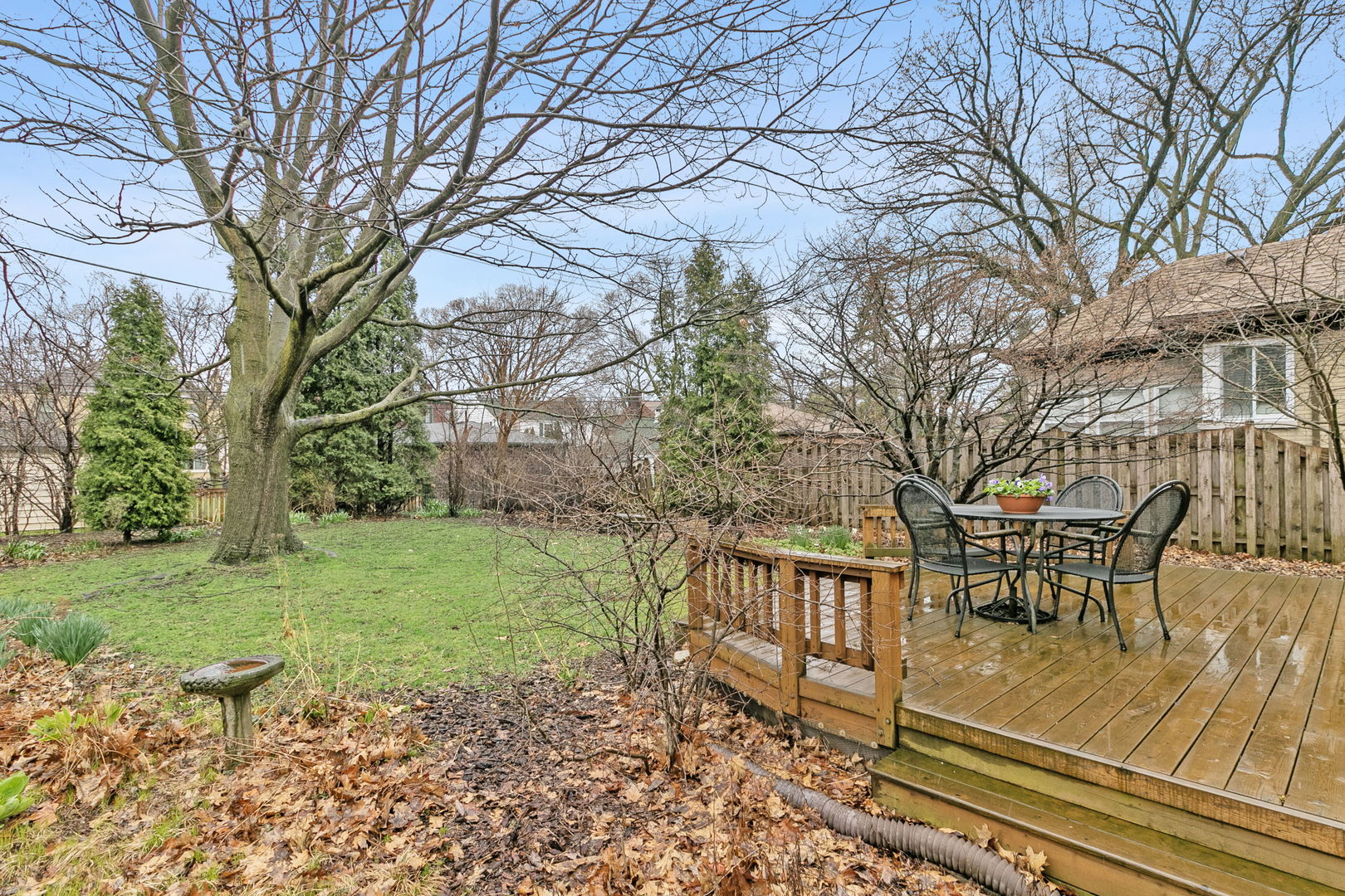 463 Longcommon Road Riverside, IL 60546 - Photo 25 of 36 a view of a yard with plants and trees