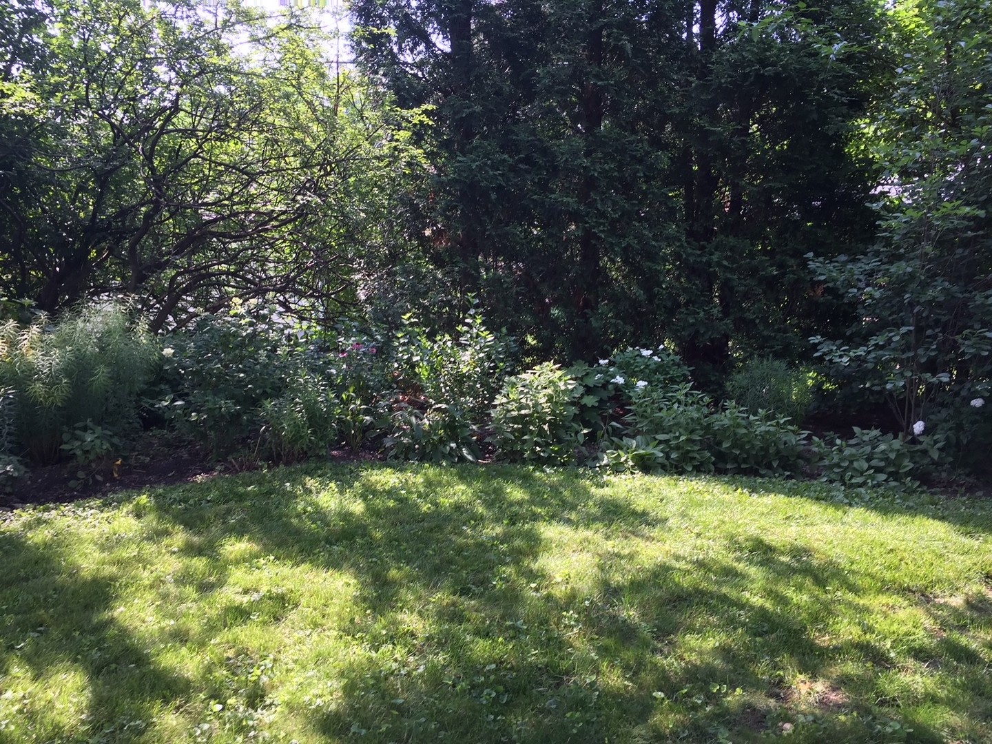 463 Longcommon Road Riverside, IL 60546 - Photo 36 of 36 a view of outdoor space and a yard