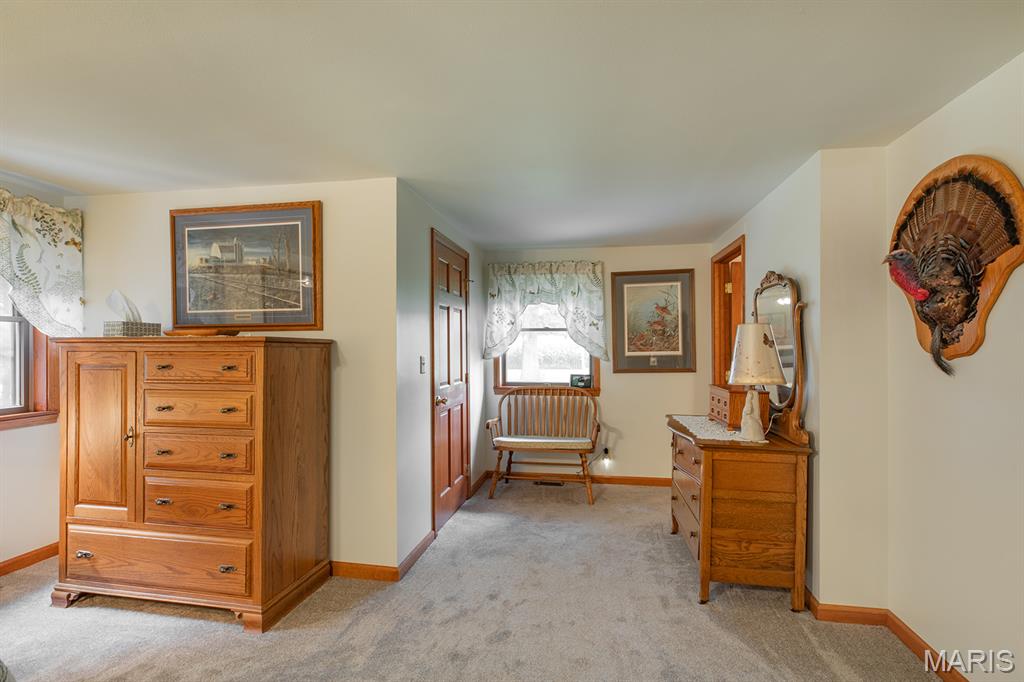29022 Smith Road Medora, IL 62063 - Photo 51 of 62 Gallery Image 51